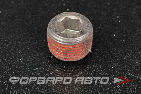 Купить Заглушка блока метал 3/8" NISSAN 11051-D0100