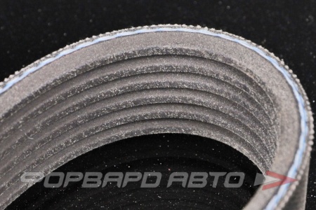 Купить Ремень поликлиновой DONGIL 6DPK1195