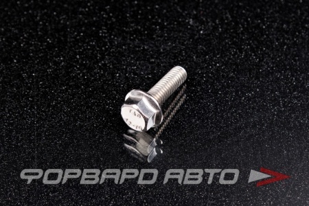 Купить Болт М6*1,0*20 ДИН 6921 А2 нерж. шестигр. гол. с фланцем <> 