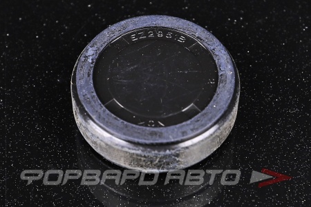 Купить Заглушка D24 NOK EZ2951-B0