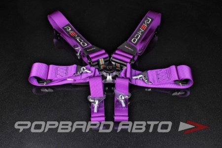 Купить Ремни 6-ти точечные, 3"+2" HANS FIA 8853-2016 (до 2028 года) фиолетовый RAEMCO C-06P-H-AL