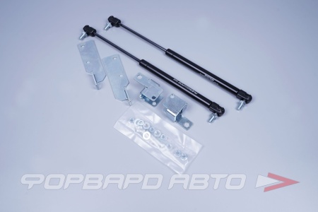 Купить Амортизатор капота LADA Vesta ВАЗ 2180 2шт. усиленный (с кркпежом) Тольятти Т118226