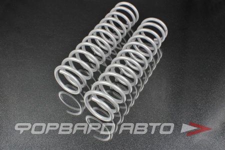 Купить Пружины задние ВАЗ 2111, ВАЗ 2171, ВАЗ 2194 №12 SS20 SS30105