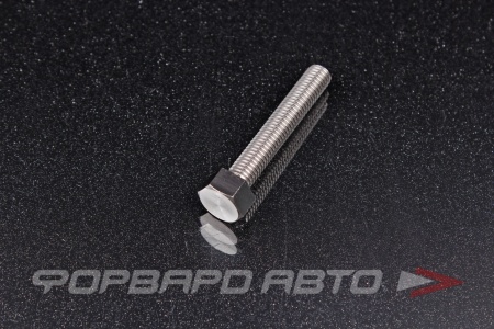 Купить Болт М8*1,25*50*50 SW13 титановый FORA TITANIUM 