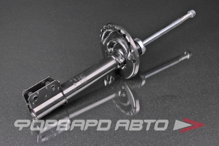 Купить Амортизатор передний MILES DG01874-01