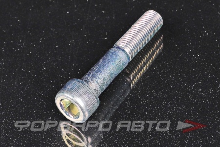 Купить Болт М10*1,25*54 натяжителя  R18A, R20A, вн. шестигранник HONDA 96700-100-5518; 96700-1005518; 967001005518 Купить Болт М10*1,25*54 натяжителя  R18A, R20A, вн. шестигранник HONDA 96700-100-5518; 96700-1005518; 967001005518