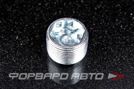 Купить Пробка сливная 24*1,5 масляного поддона под шестигранник FA1 866.369-U-01