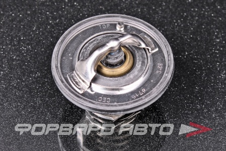 Купить Термостат RENAULT 212007668R