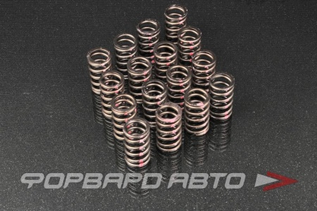 Купить Пружины клапанов SR20DET BRIAN CROWER BC1200