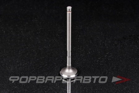 Купить Клапан выпускной N-ROCKY TB-96-0