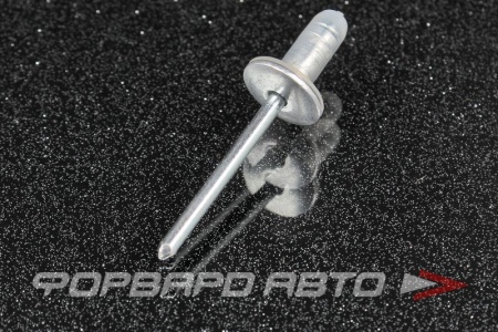 Купить Заклепка лючка бензобака TOYOTA 90269-06013