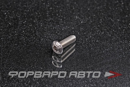 Купить Винт полукруглый под внутренний шестигранник М5*16 <> (iSO 7380-1)A2