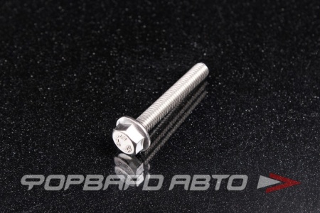 Купить Болт М6*1,0*40 ДИН 6921 А2 нерж. шестигр. гол. с фланцем <> 