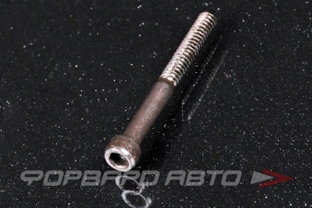 Купить Винт цилиндр. с внутренним шестигранником 3/16-24*1 3/4"(44мм) (PT) BSF (DIN912) 12.9  813117