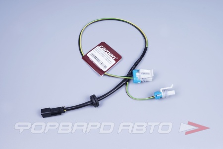 Купить Жгут проводов номерного освещения CARGEN 11183724214