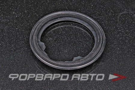 Купить Прокладка термостата (64мм) TAMA P507