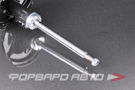 Купить Амортизатор задний, левый MILES DG11606