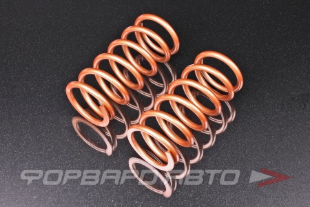 Купить Пружины для койловеров 4 кг, длина 178мм, ID65мм, универсальные SWIFT Z65-178-040