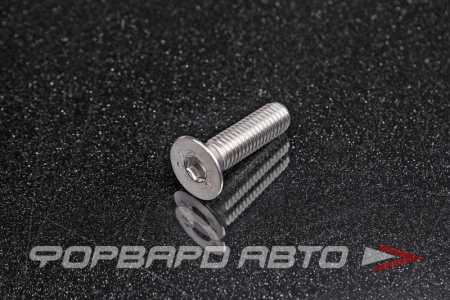 Купить Винт потайн. гол. внутр. шестигр. М8*30 DIN 7991 нерж. А2  DIN 7991