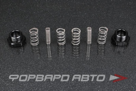 Купить Пружинки КПП 5МТ Nissan Silvia SR20 Skyline RB20 RB25 GK TECH 