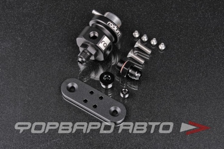 Купить Регулятор давления топлива 4BAR RADIUM ENGINEERING 20-0010-01