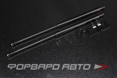 Купить Амортизаторы капота HONDA Integra DC2 95-98 AUTOBAHN88 