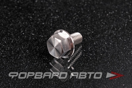 Купить Болт М6*1,0*12 титановый с фланцем FORA TITANIUM DIN6921-6*12Ti