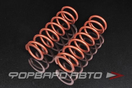 Купить Пружины для койловеров 3 кг, длина 254мм, ID65mm, универсальные SWIFT 