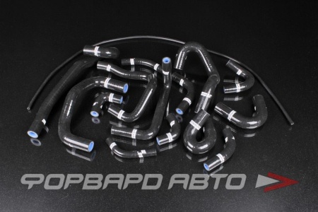 Купить Патрубки всей системы охлаждения силиконовые Nissan Skyline GT-R R33-34 черные (15 штук) AUTOBAHN88 