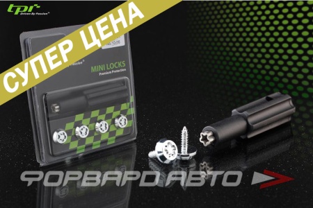 Купить Секретки для ГОС номеров 4 самореза + спец ключ Mini Locks TPI TPI-ML01