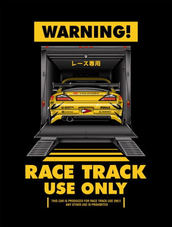 Постер "S15 RACETRACK USE ONLY/BACK" CIAY 