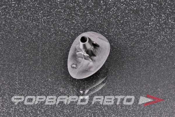 Форсунка омывателя CX 289321198R