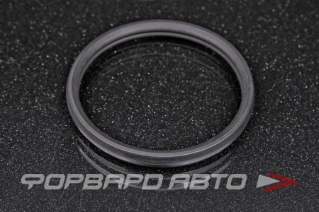 Купить Прокладка термостата (54мм) TAMA P212