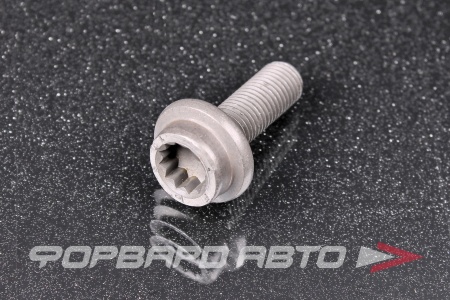 Купить Болт М10*1,25*29 шестерни распредвала, ключ torx VAG N91 203 301