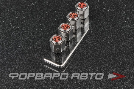 Купить Колпачок вентиля колеса TOYOTA с шестигранником (не для алюминиевого ниппеля) MELCO TB118