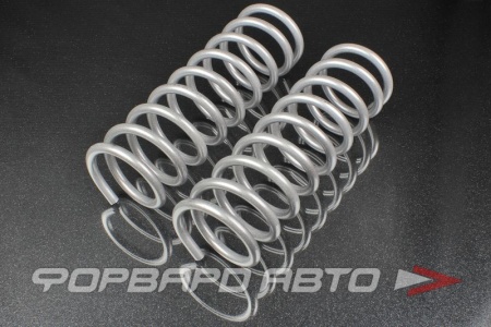 Купить Пружины передние ВАЗ-2101 SS20 SS30106