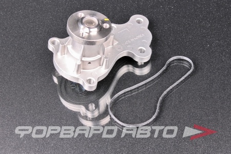 Купить Помпа SPEEDMATE SM-WPG021