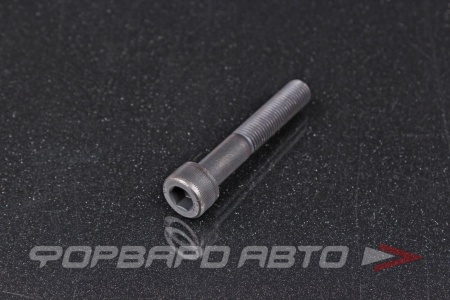 Купить Винт цилиндр. с внутренним шестигранником М10*1,25*60 DIN912 высокопр. пр.12.9  00026879