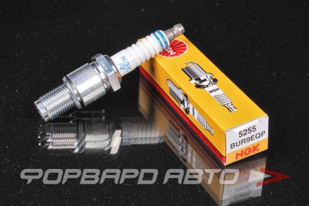 Купить Свеча зажигания NGK 5255