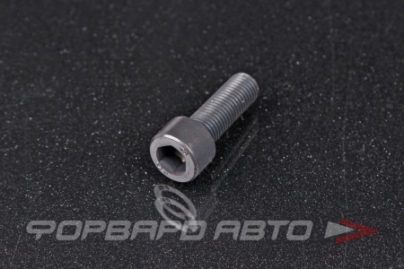 Купить Винт цилиндр. с внутренним шестигранником М10*1,25*30 DIN912 высокопр. пр.12.9  00029162