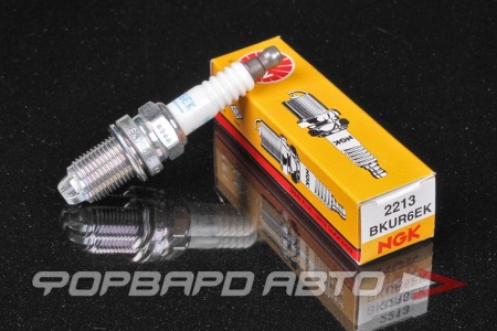 Купить Свеча зажигания NGK 2213