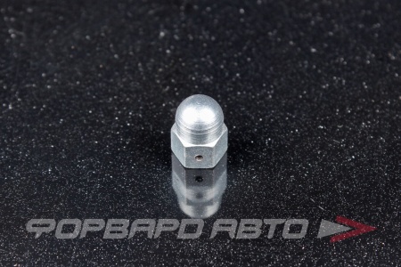 Купить Гайка М6*1,0*14 клапанной крышки ВАЗ 2108 закрытая БелЗАН 2108-1003298