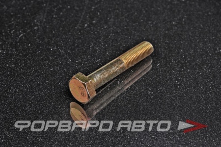 Купить Болт М10*1,25*60 оцин. 8,8 DIN960 <> 