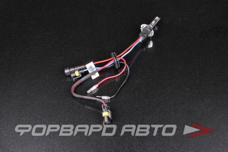 Купить Лампа ксенон H7 4300K AMP SARITI 