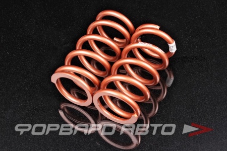 Купить Пружины для койловеров 9 кг, длина 178мм, ID65мм, универсальные SWIFT Z65-178-090