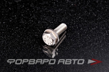 Купить Болт М6*1,0*16 ДИН 6921 А2 нерж. шестигр. гол. с фланцем <> 