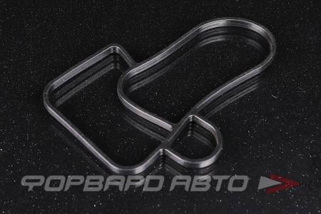 Купить Прокладка корпуса фильтра VICTOR REINZ 70-34303-00