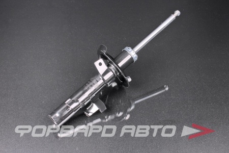 Купить Амортизатор передний, левый MILES DG11056-01