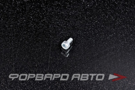 Купить Винт цилиндр. с внутренним шестигранником М3*6 DIN912 оцинков.  