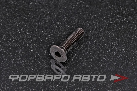 Купить Винт потайн. гол. внутр. шестигр. М6*25 DIN 7991 кл.пр.10,9 <> 